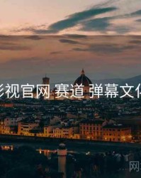 欧乐影视官网 赛道 弹幕文化 复盘