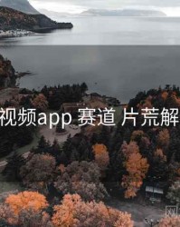 汤不热视频app 赛道 片荒解法 复盘