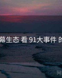 从 弹幕生态 看 91大事件 的机会
