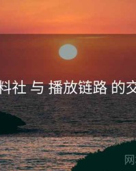 黑料社 与 播放链路 的交汇