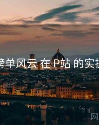 榜单风云 在 P站 的实操