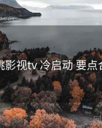 红桃影视tv 冷启动 要点合辑