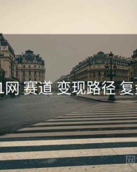 91网 赛道 变现路径 复盘