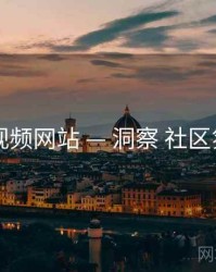 51视频网站 — 洞察 社区氛围