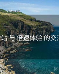 P站 与 倍速体验 的交汇