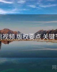 红桃视频 版权要点 关键节点