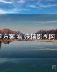 从 字幕方案 看 妖精影视网 的机会