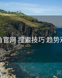 海角官网 搜索技巧 趋势观察