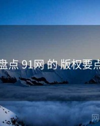 盘点 91网 的 版权要点