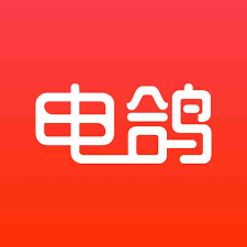 电鸽网页版入口