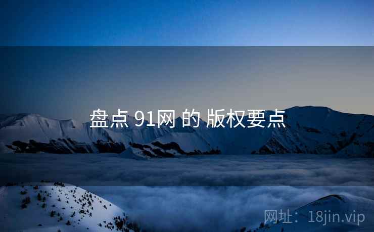 盘点 91网 的 版权要点