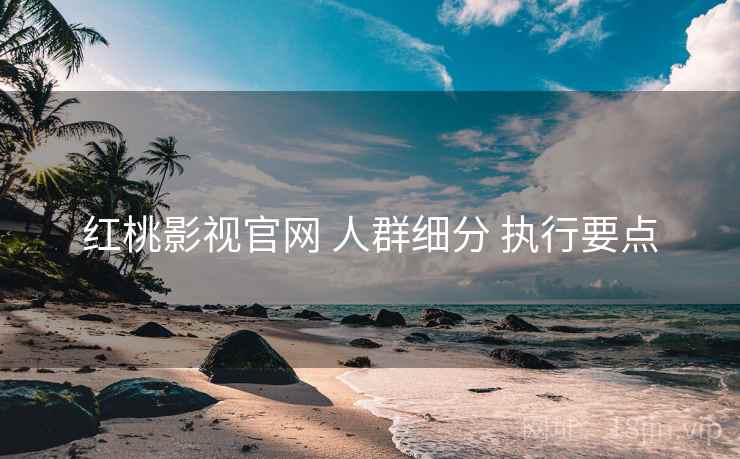 红桃影视官网 人群细分 执行要点 红桃影视官网 人群细分 执行要点