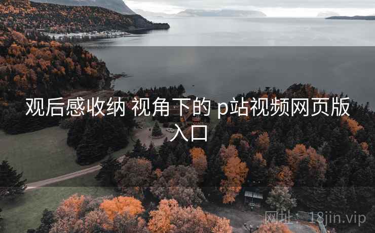 观后感收纳 视角下的 p站视频网页版入口